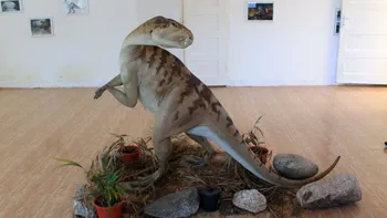 Oraşul din România plin de dinozauri. Sunt unici în lume, trăiau aici acum 70 de milioane de ani