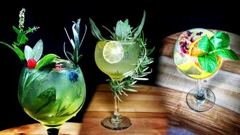 Cum faci un coctakil Gin & Tonic în varianta clasică, înveți să fii creativ și folosești un gin românesc Wolfpack de la Măgura Zamfirei