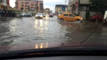 Ploile au făcut prăpăd în București. Circulația, închisă pe un mare bulevard din pricina unui copac căzut pe carosabil. Echipele Apa Nova intervin în mai multe zone din Capitală