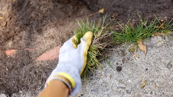 Şanţul şi trotuarul din faţa casei. Cine le repară, pentru ce primeşti amendă de 2.000 de lei?