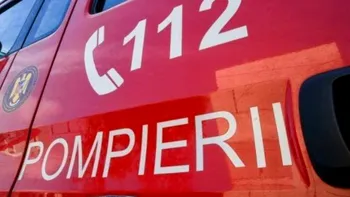 O femeie şi fetiţa ei de 7 ani au căzut de la înălţime. Cele două au supraviețuit ca prin minune