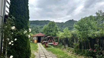 Urşii dau năvală în oraşele României. Periculosul animal a intrat într-o curte din Râmnicu Vâlcea, a lăsat prăpăd în urmă