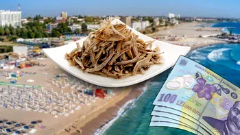 Cât costă o masă în staţiunea Mamaia, la final de iunie. Preţurile actualizate şi pentru cazare