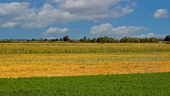 Cât poate dura procesul de transformare a unui teren extravilan în intravilan? Totul depinde de primărie