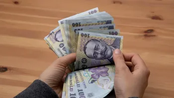 Banii vin după 40 de ani: idei simple de afaceri pentru români fără diplomă, dar cu ambiție