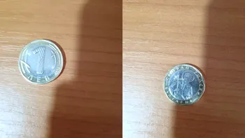 Moneda din 2002 care valorează acum 12.500 de lei. Mulți români o au acasă fără să știe că le poate aduce mii de euro