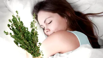 Noaptea în care se pune busuioc sub pernă. Ce semnifică visele din ajunul Sânzienelor