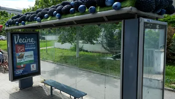 Oraşul mare din România care va avea 'fructe' în staţiile de autobuz. Chiar primarul a făcut anunţul: 