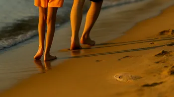 Pești veninoși ascunși sub nisip, gata să înțepe oricând, au invadat plajele aglomerate și frecventate în plin sezon estival, în Marea Britanie