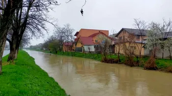 Singurul râu din România care curge de la sud spre nord. Unde se află și ce mister ascunde cursul său unic