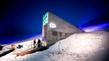 Ce a trimis România în Seiful Apocalipsei? Ţara noastră are depozitate 1.216 probe din 76 de specii pe Svalbard