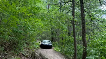 Doi turiști au găsit un bolid Porsche abandonat pe o potecă din pădure. Ce a urmat