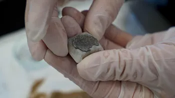 Comori uitate, povești redescoperite: Mormintele vikingilor ies la lumină