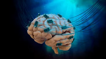 Neuronii s-au conectat la cip: primul computer viu din lume schimbă regulile jocului