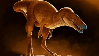 „Prințul dragon” care a precedat T. rex: noua specie de dinozaur descoperită în Mongolia rescrie istoria prădătorilor uriași