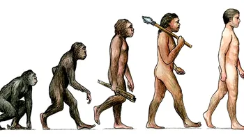 Cum a evoluat omul în timp și ce am aflat despre Homo sapiens în ultimii 300.000 de ani