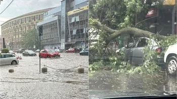 Furtuni violente și grindină de mari dimensiuni au lovit România. Un copac s-a prăbușit peste un tramvai în București