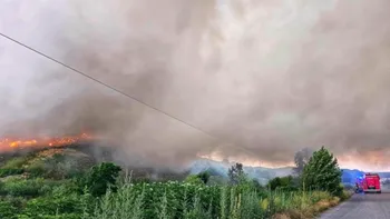 Incendiu de proporții în Aninoasa. Flăcările s-au extins pe un hectar