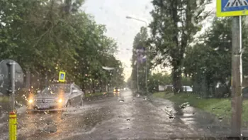 Ploile torențiale au paralizat circulația în mai multe zone. Trafic restricționat pe DN1, oprit complet pe DN 10, străzi inundate în București Update