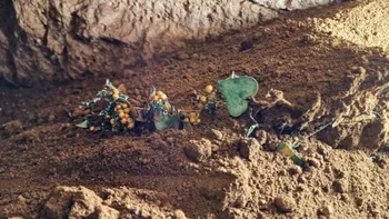 Artefacte din aur și bronz descoperite în necropola de la Callatis. Ar putea fi incluse în Tezaurul României