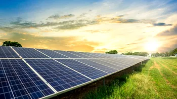 Australia vrea să ofere electricitate gratuită în timpul zilei: programul care valorifică energia solară în exces