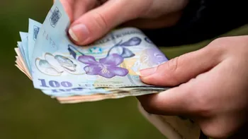 3 zile până la haos fiscal: TVA-ul se modifică, dar firmele se plâng că normele lipsesc cu desăvârșire, sunt multe 