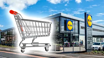 Ce produse de bază poţi cumpăra cu 100 de lei de la Lidl? Supermarketul dă soluţii pentru a umple un coş de cumpărături în această perioadă cu bani puţini