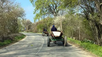 Amendă de 1.600 de lei și suspendarea permisului pentru o greșeală banală în trafic. Mare atenție la căruțe și alte vehicule lente