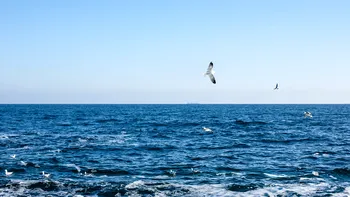 Fenomenul de „upwelling” a revenit. Câte grade are apa Mării Negre: “Este sloi. Te dor articulațiile”