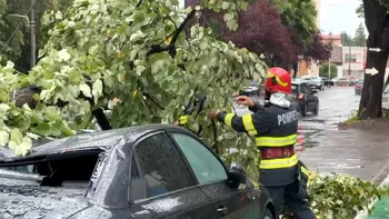 Furtuna a făcut prăpăd în Timiș: rafale de peste 125 km/h, copaci doborâți și un copil rănit