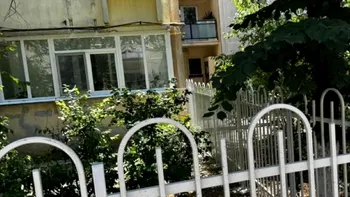 Gardurile prea înalte din jurul blocurilor, motiv de ceartă între bucureşteni. Primăria de sector este acuzată, însă chiar locuitorii le-au cerut