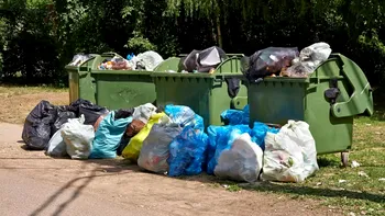 Gestul aparent banal care te poate lăsa fără mii de lei. Ce riști dacă lași gunoiul lângă tomberon