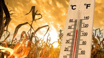 Meteorologii au anunţat cum va fi vremea în luna august. Nu scăpăm de căldura sufocantă