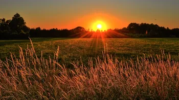 Meteorologii au anunţat cum va fi vremea în august 2025. Vin surprize mari în ultima lună de vară