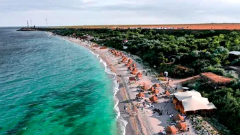 Nou pericol în Marea Neagră: a apărut un peşte extrem de toxic. Ce spun specialiştii