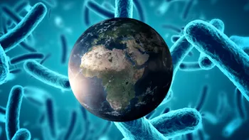 NASA, revista Science și eșecul unei descoperiri epocale: Adevărul despre bacteria „extraterestră” care n-a fost