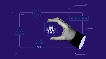 Site-urile create cu WordPress, vulnerabile la hackeri. Cum te aperi de escroci, sfaturi utile pentru începători și nu numai