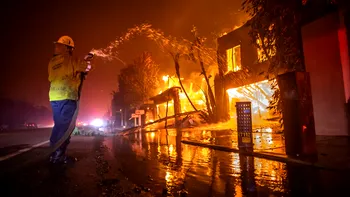 Trump vrea mai multe drumuri ca să oprească incendiile de pădure. Experții spun că adevărul e mult mai complicat