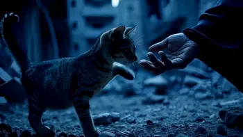 Inteligența artificială redefinește cinematografia - Scurtmetrajele cu iz hollywoodian, realizate în câteva săptămâni, nu ani