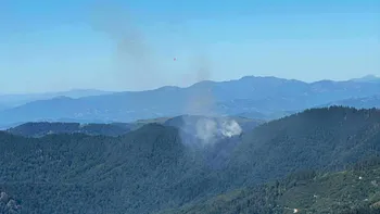Intervenție dificilă în Masivul Țibleș, unde un incendiu de pădure se extinde rapid