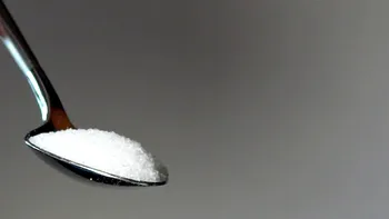 Erythritol, inamicul dulce: ce ascunde îndulcitorul „natural” din batoanele proteice și băuturile energizante, conform oamenilor de știință