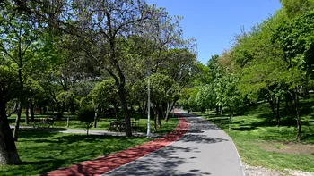 Doi copii și un adult, intoxicați într-un parc din București. Ar fi inhalat vapori din substanţe folosite la întreţinerea echipamentelor de joacă