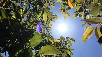 Revine canicula în România. Meteorologii anunță vreme neobișnuită, prognoza meteo pentru următoarele săptămâni