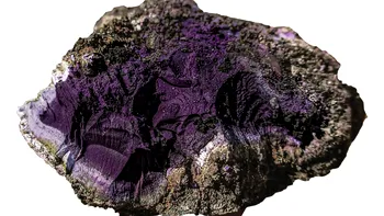 Aur lichid din adâncurile istoriei: descoperirea rară care rescrie povestea Romei imperiale