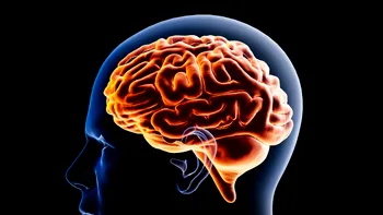 Reset mental în doar 5 minute: trucul simplu pe care îl folosește un neurolog de la Oxford când are creierul obosit