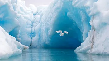 Oceanul Arctic se schimbă la față, dar nu în bine. Consecințele salinității crescute, cum va afecta planeta