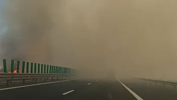 Incendiu de vegetație de amploare lângă Autostrada A2. Traficul spre București, deviat din cauza vizibilității reduse
