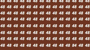 Ai ochi de vultur dacă găseşti numărul 84 printre 48, în 7 secunde! Este testul preferat al oftalmologilor