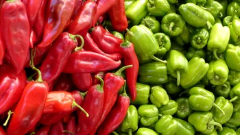 Ardei verde vs ardei roșu – Care este alegerea potrivită pentru o dietă echilibrată, potrivit specialiștilor