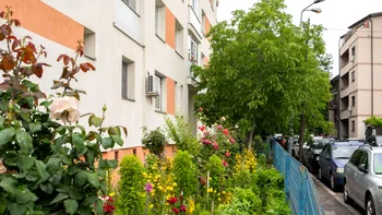 Amendă pentru neîngrijirea spațiului din jurul blocului. Cand se dă și de ce